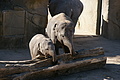 DSC08474 - Bernhard Saalfeld