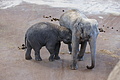 DSC08476 - Bernhard Saalfeld