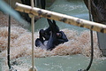 DSC08479 - Bernhard Saalfeld