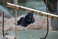 DSC08480 - Bernhard Saalfeld