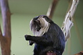 DSC08484 - Bernhard Saalfeld