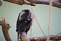 DSC08486 - Bernhard Saalfeld