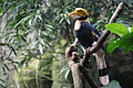 DSC08488 - Bernhard Saalfeld