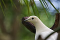 DSC08492 - Bernhard Saalfeld