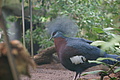 DSC08501 - Bernhard Saalfeld