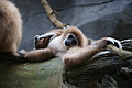 DSC08505 - Bernhard Saalfeld