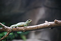 DSC08508 - Bernhard Saalfeld