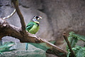 DSC08509 - Bernhard Saalfeld