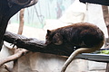 DSC08510 - Bernhard Saalfeld