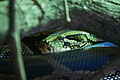 DSC08512 - Bernhard Saalfeld