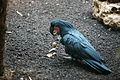 DSC08514 - Bernhard Saalfeld