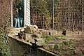 DSC08516 - Bernhard Saalfeld