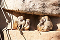 DSC08517 - Bernhard Saalfeld