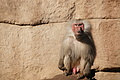 DSC08518 - Bernhard Saalfeld