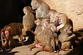 DSC08521 - Bernhard Saalfeld