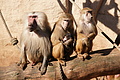 DSC08525 - Bernhard Saalfeld