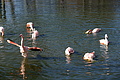 DSC08528 - Bernhard Saalfeld