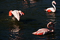 DSC08529 - Bernhard Saalfeld