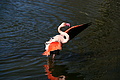DSC08531 - Bernhard Saalfeld