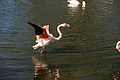 DSC08532 - Bernhard Saalfeld