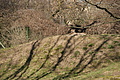 DSC08538 - Bernhard Saalfeld