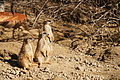 DSC08539 - Bernhard Saalfeld