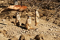 DSC08540 - Bernhard Saalfeld