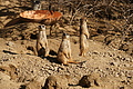 DSC08541 - Bernhard Saalfeld