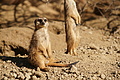 DSC08542 - Bernhard Saalfeld