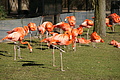 DSC08544 - Bernhard Saalfeld