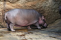 DSC08546 - Bernhard Saalfeld