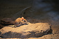 DSC08547 - Bernhard Saalfeld