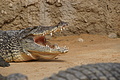 DSC08548 - Bernhard Saalfeld
