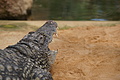 DSC08551 - Bernhard Saalfeld