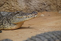 DSC08552 - Bernhard Saalfeld