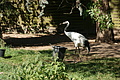 DSC03299 - Bernhard Saalfeld