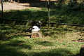 DSC03300 - Bernhard Saalfeld