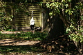 DSC03301 - Bernhard Saalfeld
