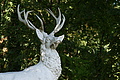 DSC03303 - Bernhard Saalfeld