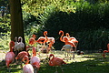 DSC03306 - Bernhard Saalfeld