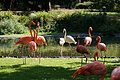 DSC03307 - Bernhard Saalfeld