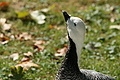 DSC03309 - Bernhard Saalfeld