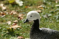 DSC03311 - Bernhard Saalfeld