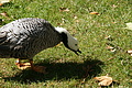 DSC03313 - Bernhard Saalfeld