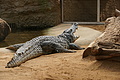 DSC03318 - Bernhard Saalfeld