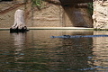 DSC03325 - Bernhard Saalfeld