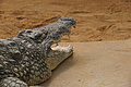 DSC03327 - Bernhard Saalfeld