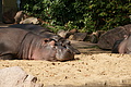 DSC03329 - Bernhard Saalfeld