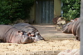 DSC03330 - Bernhard Saalfeld