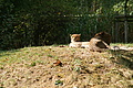 DSC03332 - Bernhard Saalfeld